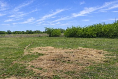ðŸŒ¿Wide Open Spaces Near the Lake-No Restrictions! No HOA! - photo 5