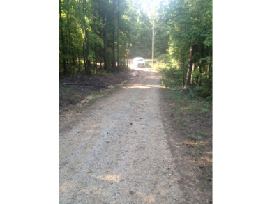 Deeded lot on Lake Harding - photo 4