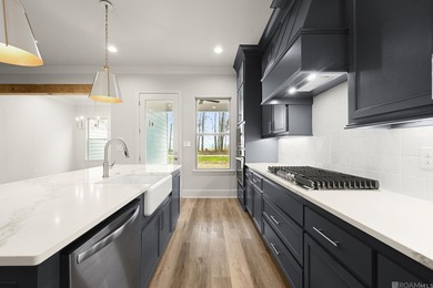 Spec home turned presold, est completion July 2026. Other - photo 11