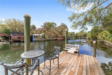 Spectacular tip-lot riverfront property with over 200 feet of - photo 11