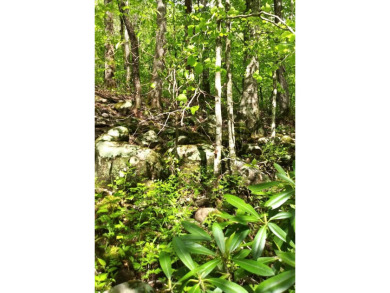 Lake Acreage For Sale in Wilder, Tennessee