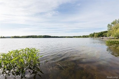 Contingent offer accepted-Buyer needs to sell home first. Other - photo 12