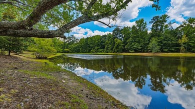 Your own hunting, fishing & recreational paradise sits on over - photo 3