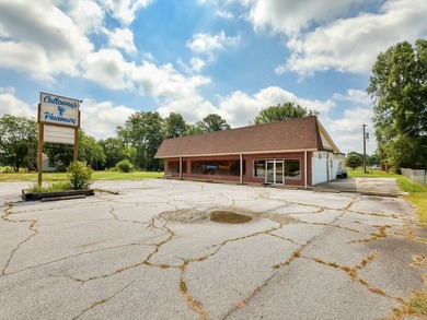 Welcome to 546 E Savannah Street - a high-visibility commercial - photo 4