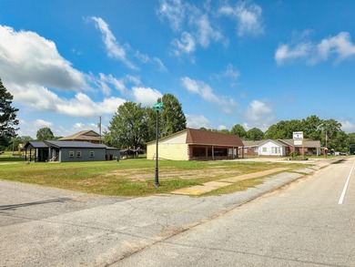 Welcome to 546 E Savannah Street - a high-visibility commercial - photo 5