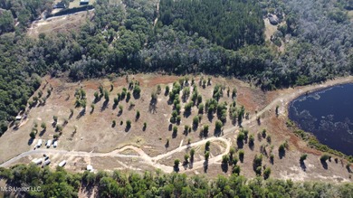 (private lake, pond, creek) Acreage For Sale in Lucedale Mississippi