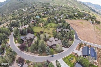 Location, luxury, and indoor/outdoor space abound at 2585 Aspen - photo 49