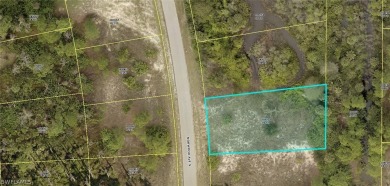 Lehigh Acres Area Lot For Sale in Lehigh Acres Florida