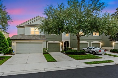 (private lake, pond, creek) Condo For Sale in Riverview Florida