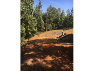 Deeded lot on Lake Harding - photo 6