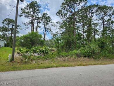 Lehigh Acres Area Lot For Sale in Lehigh Acres Florida