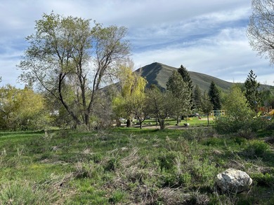 Big Wood River Lot Sale Pending in Hailey Idaho