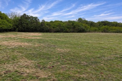 ðŸŒ¿Wide Open Spaces Near the Lake-No Restrictions! No HOA! - photo 4