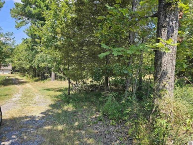 Build your dream home on 2.26 WOODED ACRES in the peaceful - photo 13