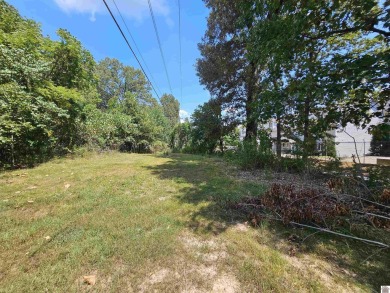 Build your dream home on 2.26 WOODED ACRES in the peaceful - photo 14