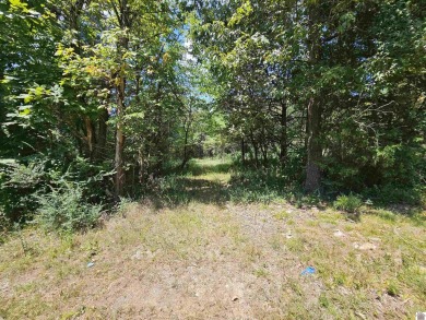 Build your dream home on 2.26 WOODED ACRES in the peaceful - photo 15