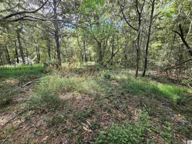 Build your dream home on 2.26 WOODED ACRES in the peaceful - photo 16