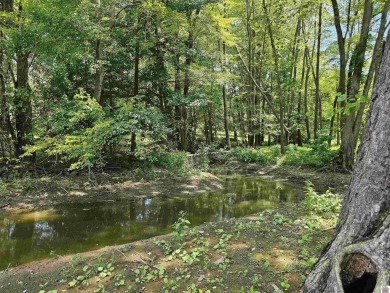 Build your dream home on 2.26 WOODED ACRES in the peaceful - photo 23