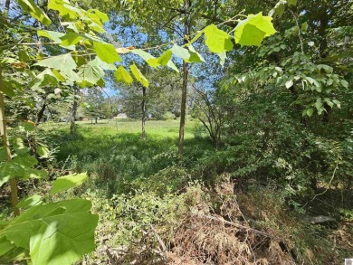 Build your dream home on 2.26 WOODED ACRES in the peaceful - photo 25