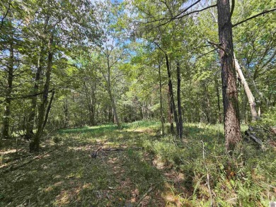 Build your dream home on 2.26 WOODED ACRES in the peaceful - photo 28