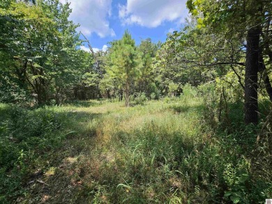 Build your dream home on 2.26 WOODED ACRES in the peaceful - photo 29