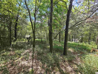 Build your dream home on 2.26 WOODED ACRES in the peaceful - photo 30