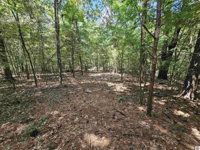 Build your dream home on 2.26 WOODED ACRES in the peaceful - photo 32