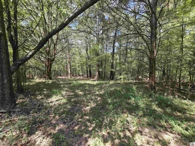 Build your dream home on 2.26 WOODED ACRES in the peaceful - photo 33