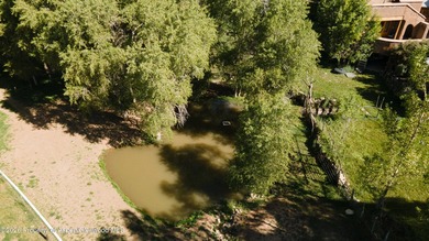 Escape to 10 + acres of pure Colorado magic featuring an - photo 40