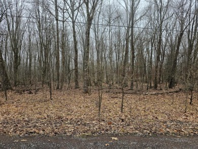 Lake Lot Off Market in Central City, Pennsylvania