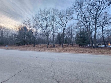Lake Michigan - Delta County Lot For Sale in Gladstone Michigan