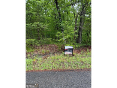 Lake Lot For Sale in Ranger, Georgia