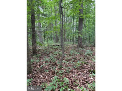 This 2.5 acre wooded property a gem! Enjoy this water access lot - photo 11