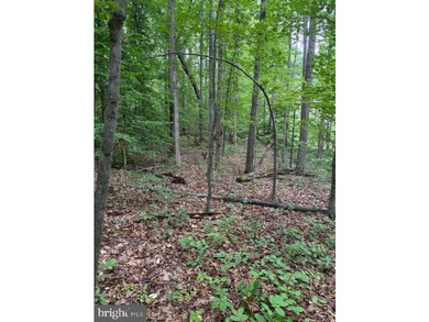 This 2.5 acre wooded property a gem! Enjoy this water access lot - photo 12
