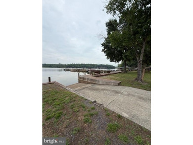 This 2.5 acre wooded property a gem! Enjoy this water access lot - photo 15