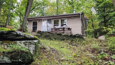 Minisink Lake Home For Sale in Dingmans Ferry Pennsylvania