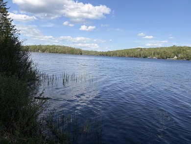Just minutes from town yet privately tucked among the woods - photo 29