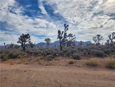 Lake Mead Lot For Sale in Meadview Arizona