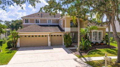 Lake Home For Sale in Tampa, Florida