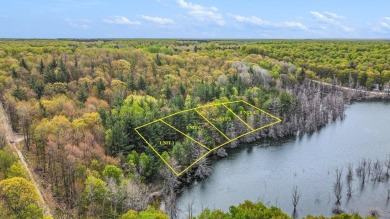 Lake Lot For Sale in Gaylord, Michigan