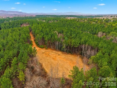 A truly rare offering along the Catawba River, this remarkable - photo 3