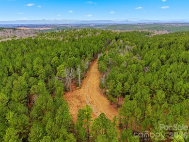 A truly rare offering along the Catawba River, this remarkable - photo 4