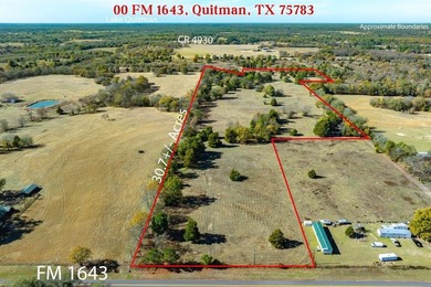(private lake, pond, coastal) Acreage For Sale in Quitman Texas