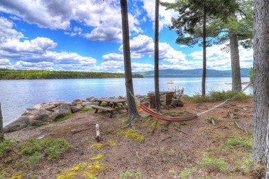 MOOSELOOKMEGUNTIC WATERFRONT A rare opportunity to own a truly - photo 7
