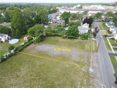 Seneca Cayuga River Commercial For Sale in Seneca Falls New York