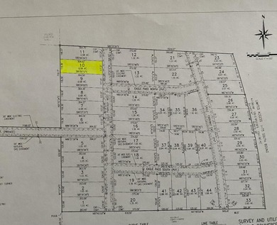 Otsego Lake Commercial For Sale in Gaylord Michigan