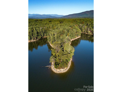 One of the most unique and valuable homesites in Old Wildlife - photo 11