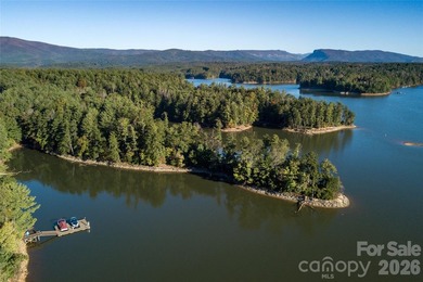 One of the most unique and valuable homesites in Old Wildlife - photo 13