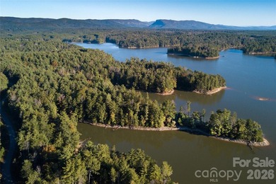 One of the most unique and valuable homesites in Old Wildlife - photo 14