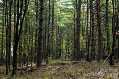 One of the most unique and valuable homesites in Old Wildlife - photo 15